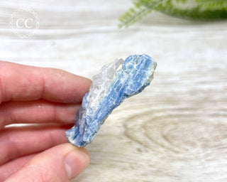 Blue Kyanite & Quartz #6