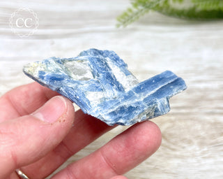 Blue Kyanite & Quartz #6