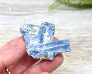 Blue Kyanite & Quartz #6