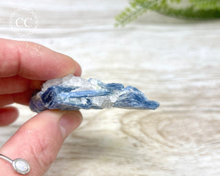 Blue Kyanite & Quartz #6