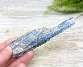 Blue Kyanite & Quartz #1