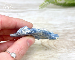 Blue Kyanite & Quartz #6