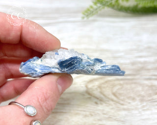 Blue Kyanite & Quartz #6