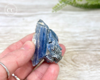 Blue Kyanite & Quartz #7
