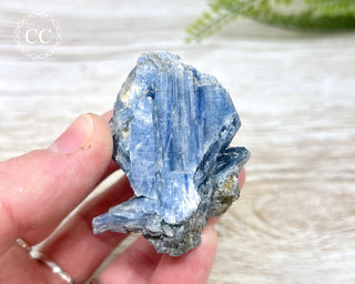 Blue Kyanite & Quartz #7