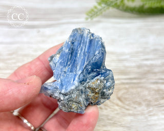 Blue Kyanite & Quartz #7