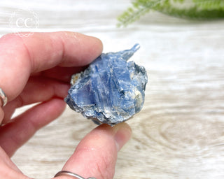 Blue Kyanite & Quartz #7