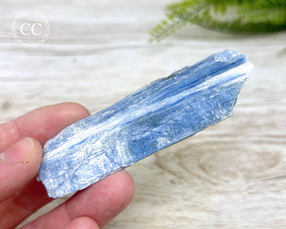 Blue Kyanite #8