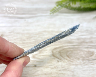 Blue Kyanite #8