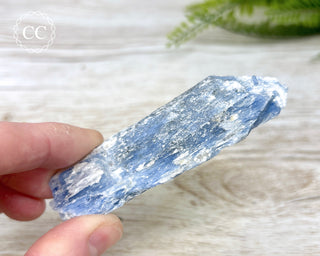 Blue Kyanite #8