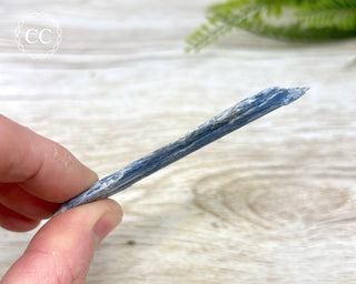 Blue Kyanite #8