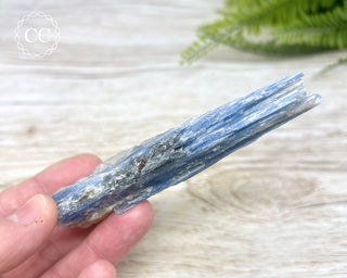 Blue Kyanite & Quartz #1