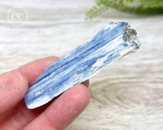 Blue Kyanite #9
