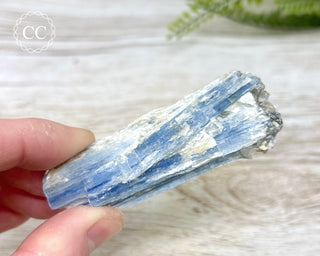 Blue Kyanite #9