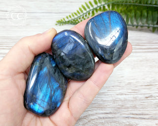 Blue Labradorite Palm Stones in hand