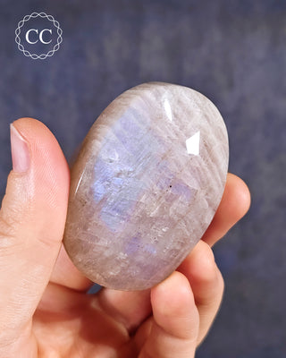 Blue Moonstone | Peristerite Palm Stone #1