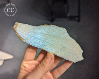 Blue Moonstone Slice #1