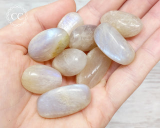 Blue Moonstone Tumbled Crystals in hand