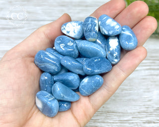 Blue Opal Tumbled Crystals in hand