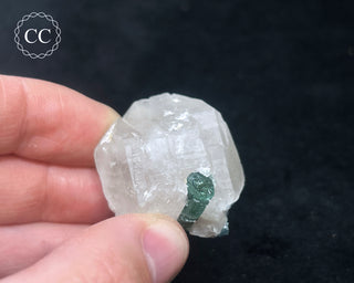 Blue Tourmaline in Quartz #4