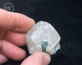 Blue Tourmaline in Quartz #4
