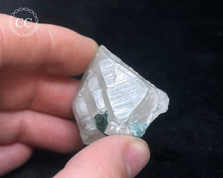 Blue Tourmaline in Quartz #4