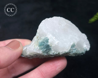 Blue Tourmaline in Quartz #11