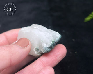 Blue Tourmaline in Quartz #11