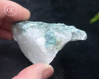 Blue Tourmaline in Quartz #11
