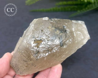 Blue Tourmaline in Quartz #2