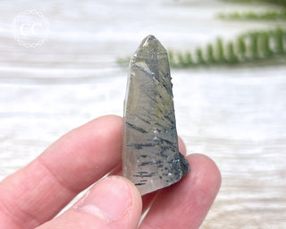 Blue Tourmaline in Quartz - Namibia #1