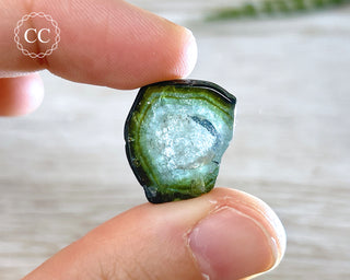 Blue Watermelon Tourmaline Polished Crystal #2