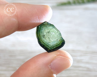 Blue Watermelon Tourmaline Polished Crystal #1