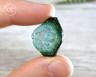 Blue Watermelon Tourmaline Polished Crystal #6