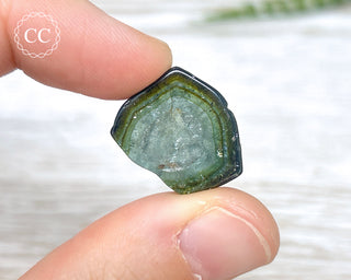 Blue Watermelon Tourmaline Polished Crystal #2