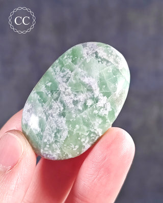 Bolivianite Palm Stone #3