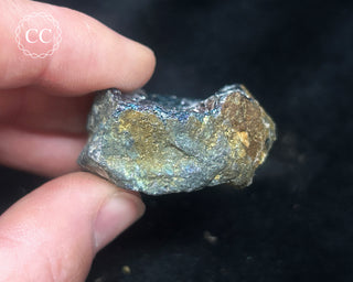 Bornite Specimen #5