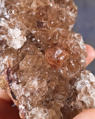 Botryoidal Fluorite - Tres Marias #1