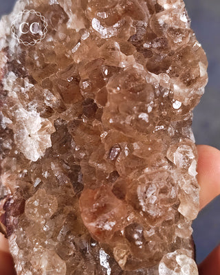 Botryoidal Fluorite - Tres Marias #1