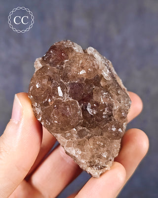 A hand holding a specimen of Botryoidal Fluorite from the Tres Marias Mine in Mexico
