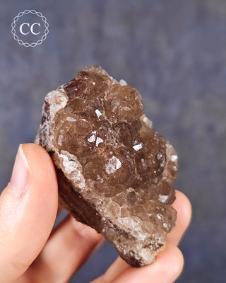 Botryoidal Fluorite - Tres Marias #2