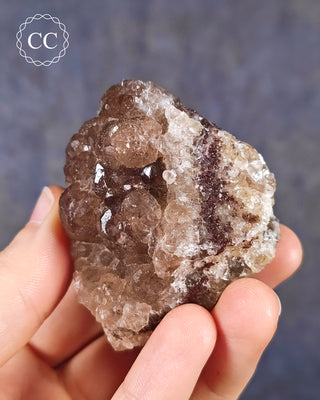 Botryoidal Fluorite - Tres Marias #2