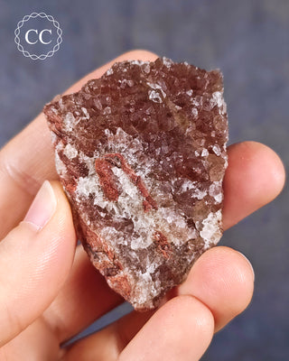Botryoidal Fluorite - Tres Marias #3