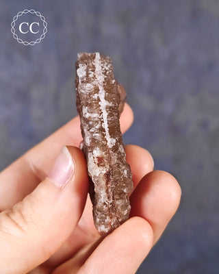 Botryoidal Fluorite - Tres Marias #3