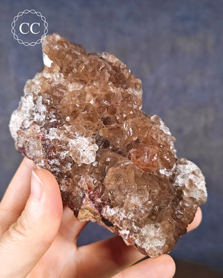 Botryoidal Fluorite - Tres Marias #1