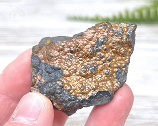 Botryoidal Hematite Specimen #1