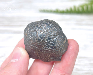 Botryoidal Hematite Specimen #3