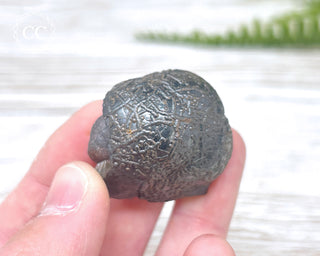 Botryoidal Hematite Specimen #3