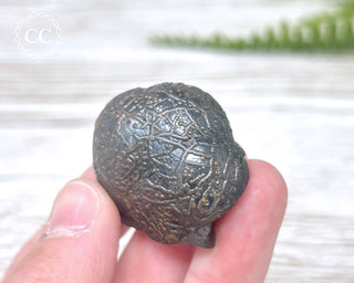 Botryoidal Hematite Specimen #3