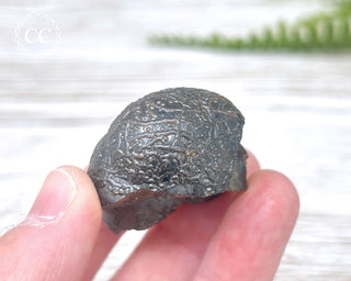 Botryoidal Hematite Specimen #3